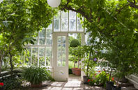 free King Sterndale orangery quotes