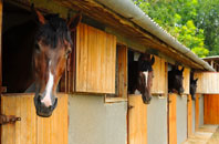 free King Sterndale stable construction quotes